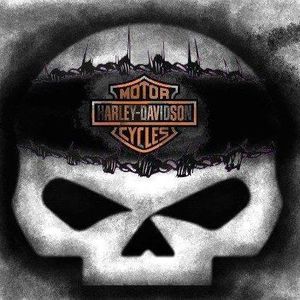 Meet your Posher, Shirley